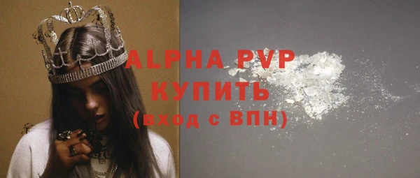 прущие грибы Ладушкин