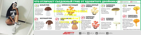 не бодяженный Лабытнанги