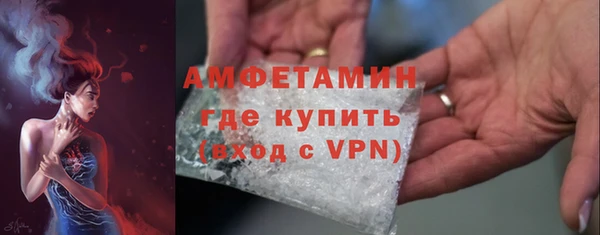 прущие грибы Ладушкин