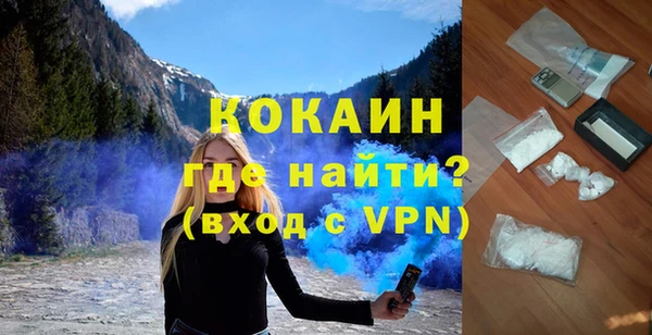 прущие грибы Ладушкин