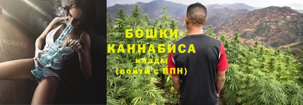 прущие грибы Ладушкин