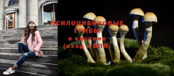 прущие грибы Ладушкин